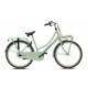 https://bikefactory.de/image/cache/catalog/images/Fietsen/Nogan%20Cargo/V26N3-PASTEL-GREEN-1-80x80.jpg